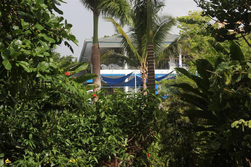 Hotel Mockingbird Hill Port Antonio Exterior foto