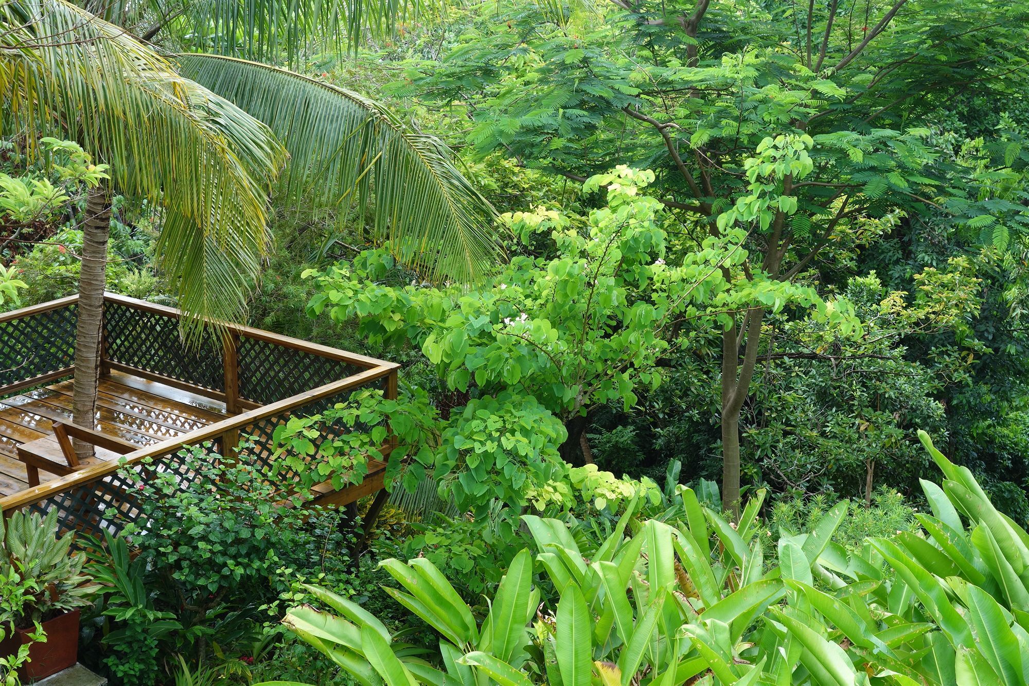 Hotel Mockingbird Hill Port Antonio Exterior foto