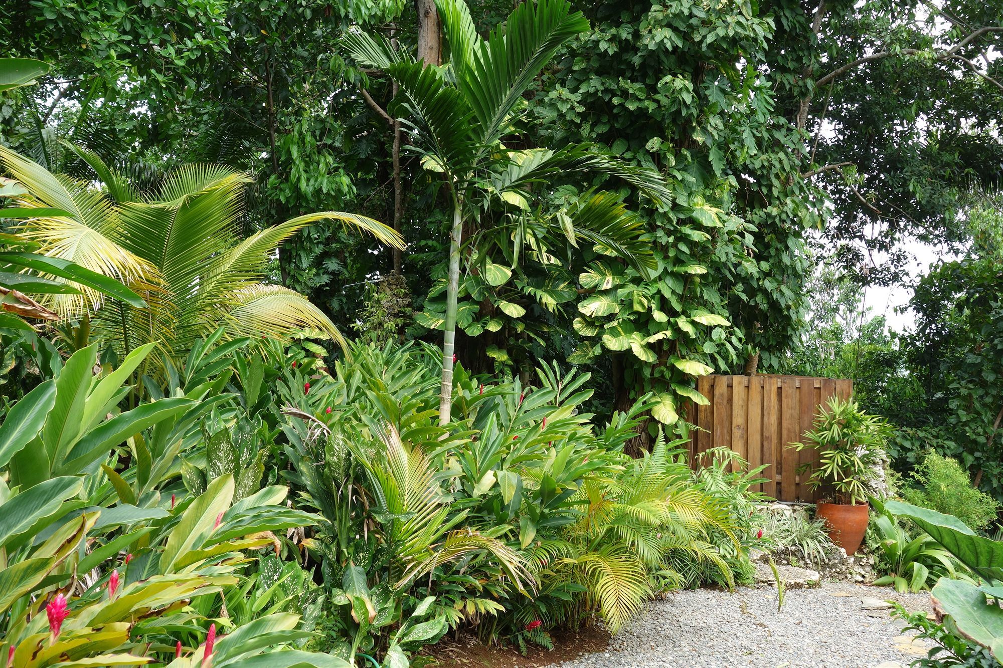 Hotel Mockingbird Hill Port Antonio Exterior foto